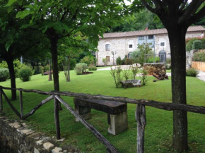 Lady Frantoio Toscano Corsanico-Massarosa